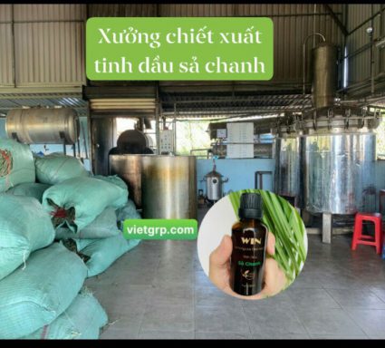 CUNG CẤP SỈ TINH DẦU SẢ CHANH